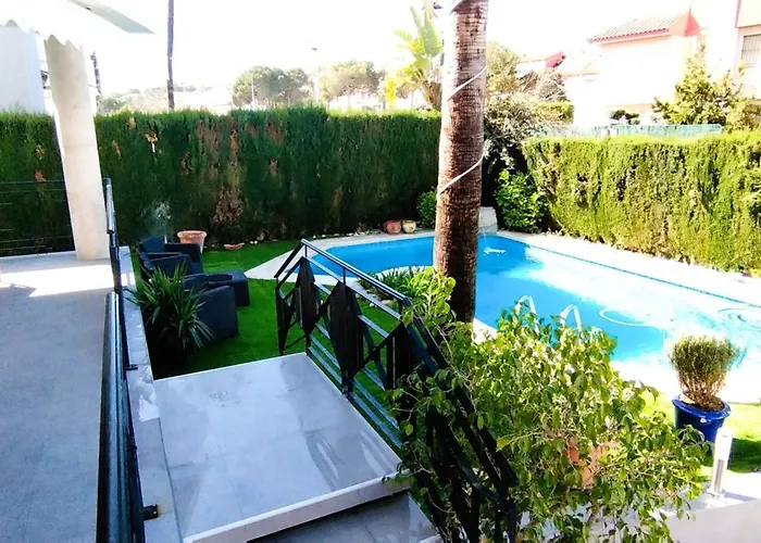 Dorada Alicante